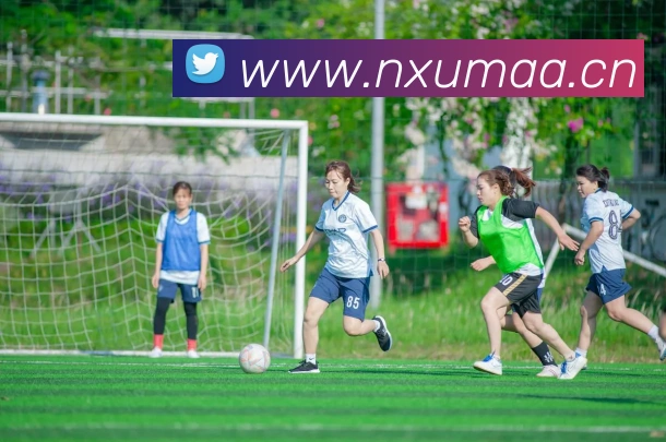 人人体育官网直播平台生态图